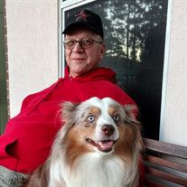 Photo - Ronald Wizinsky